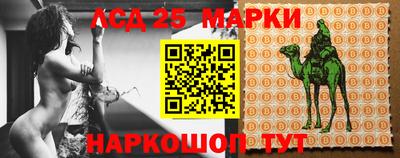 молекула духа Кулебаки
