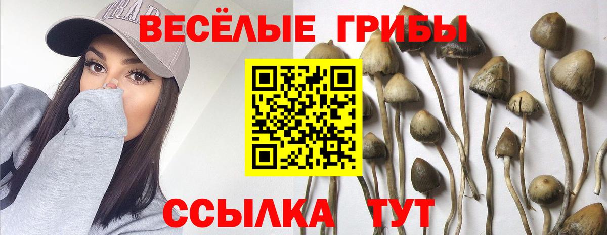 Галлюциногенные грибы ЛСД  Галлюциногенные грибы прущие грибы  Вход с VPN  Канаш 